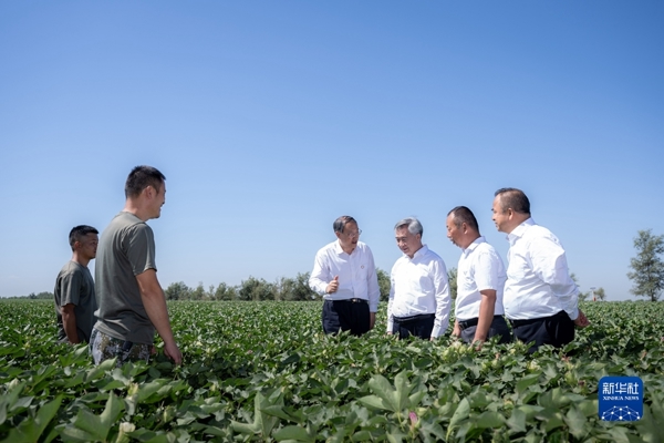 阴茎插入嫂子的屄李希在新疆调研时强调 学深悟透习近平新时代中国特色社会主义思想 在以学促干上取得实实在在的成效